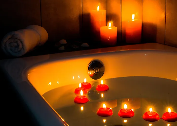 酒店 伊利吉尼亚酒店