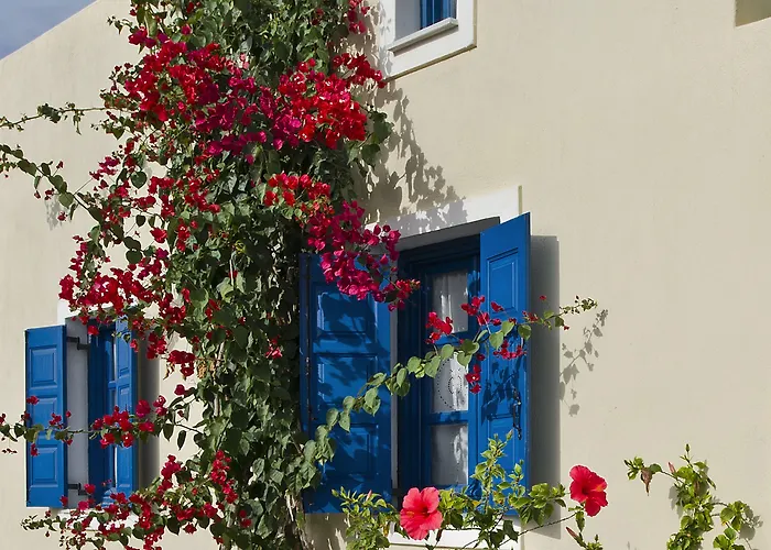 伊利吉尼亚酒店 4*