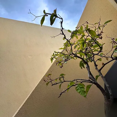 Irigeneia Perissa (Santorini)